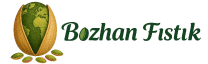bozhan-fistik